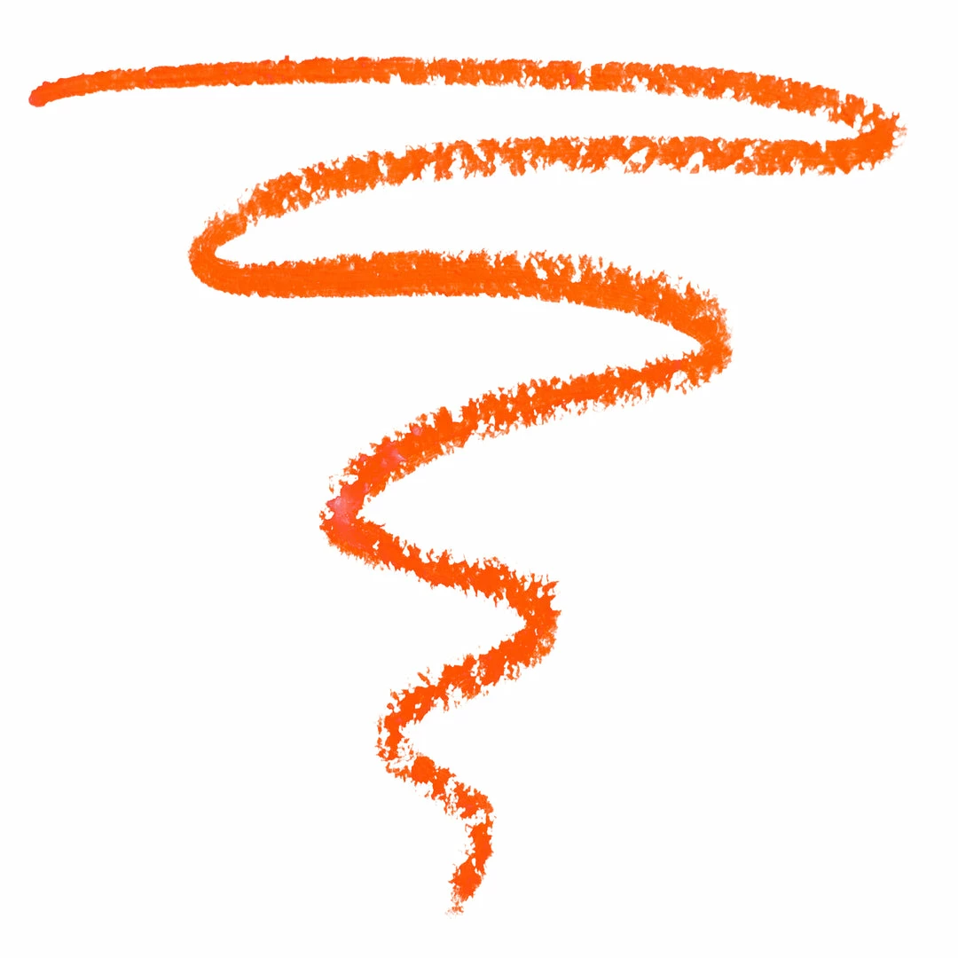 ColourPop New Puppy 4 ColourPop New Puppy